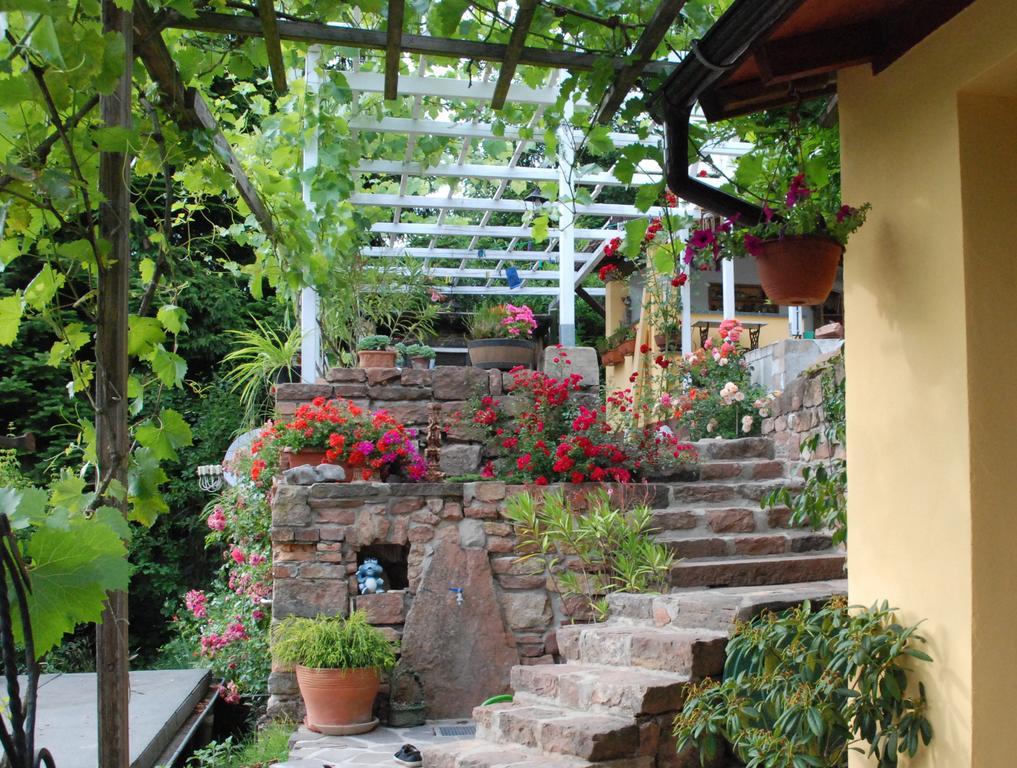 Am Berggarten Heidelberg Exterior photo